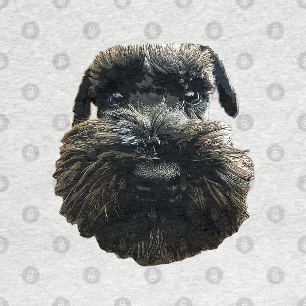 Schnauzer Cute Dog with Beard by ElegantCat